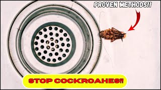How To Stop Roaches From Coming Up The Drain