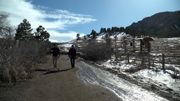 How many CU Boulder researchers does it take to carry a log?