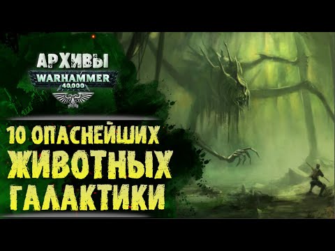 Видео: Опаснейшие существа галактики Warhammer 40000