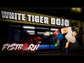 I Became Jin Mori Using Taekwondo In ROBLOX FISTBORN!