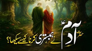 Hazrat Adam A.s Ne Hambistari Karna Kab Aur Kaise Ha Tha?