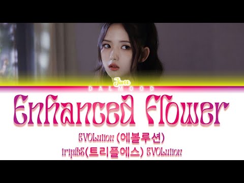 EVOLution (에볼루션) - Enhanced Flower [Color Coded Lyrics Han|Rom|Eng]
