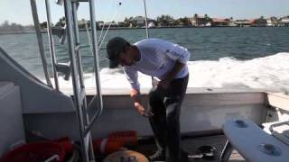 Day Boat Seafood | Seafood | Whole Foods Market screenshot 5