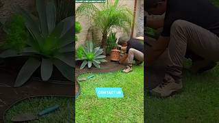 How to get a Luxury Garden on a Budget.#landscape #shorts