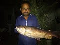 Fish hunting rohri