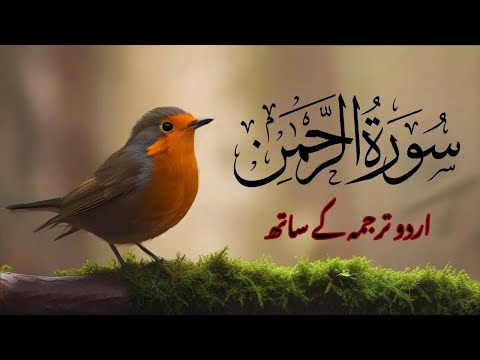 Surah Rahman Urdu Tarjuma K Sath Qari Al Sheikh Abdul Basit Abdul Samad Quran Karim Recitation 