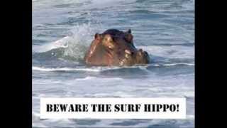 Leper and the Wonderfolk- Surf Tune.wmv