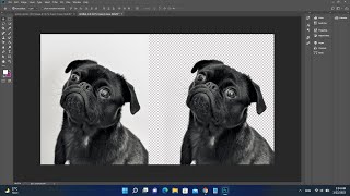 Famous How to Quickly Remove Image Solid Background | One Click Net Worth