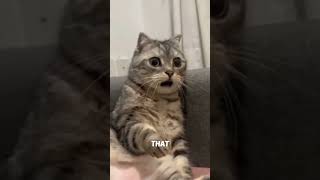 Not Think About This  shorts