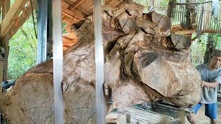 Sawing the most amazing fossil wood in history!! Sawmills