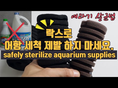 How to safely sterilize aquarium supplies including sponge filter/how to use disinfectant for fish