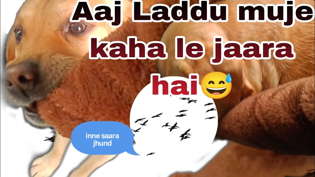 Ye rebbie kaha le jara hai🤭||khich kar lekr gya😅||kya krta h ye😂||@Rebbie_Karishma 