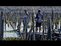 Bass Fishing a DRAINED LAKE - Rodman Reservoir - SMC Episode 12:13