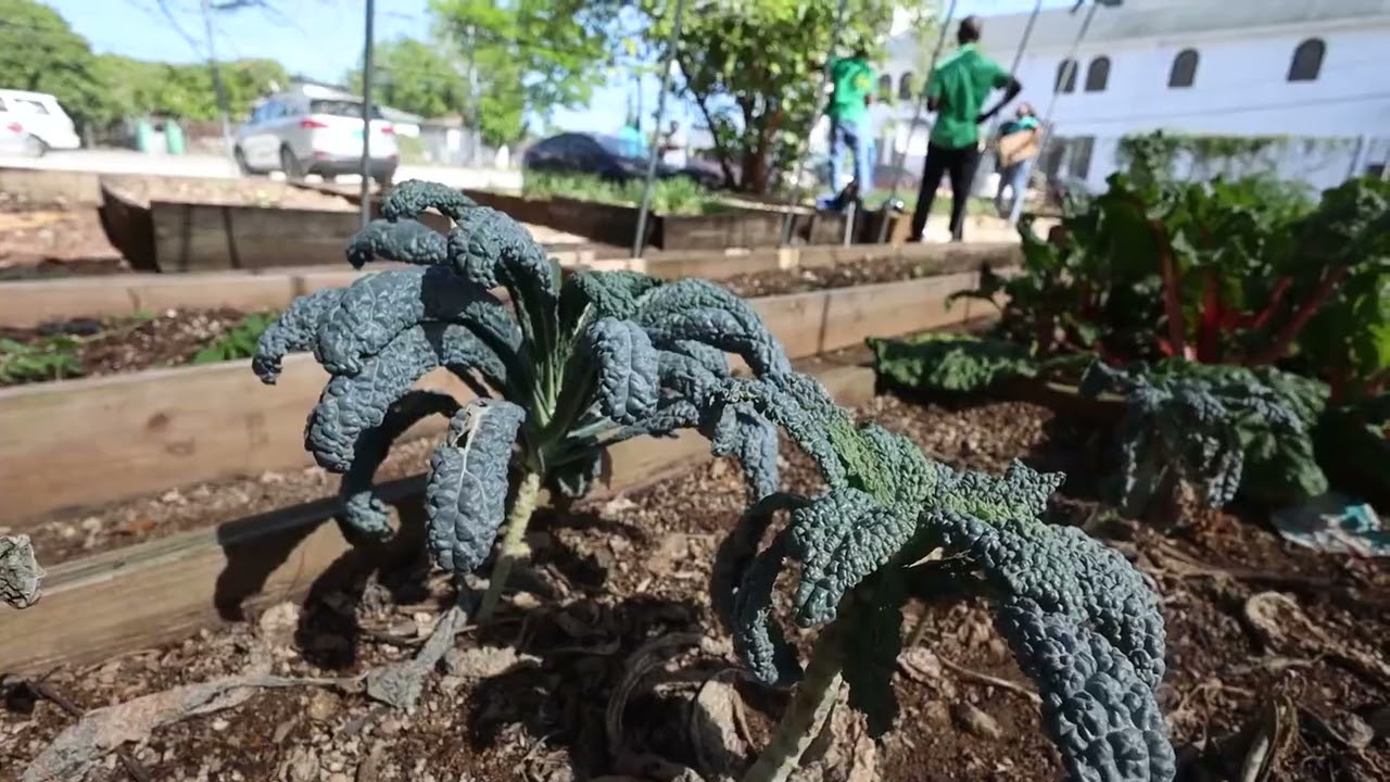 Good To Grow Featuring | ADO Workshop with JS Johnson Employees