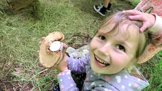 Pravidelná Asanace Krmného Zařízení.