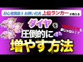 【おねがい社長】ダイヤ10万超えも夢じゃない?!上位ランカーが教えるダイヤを超効率的に集めて使う方法!!