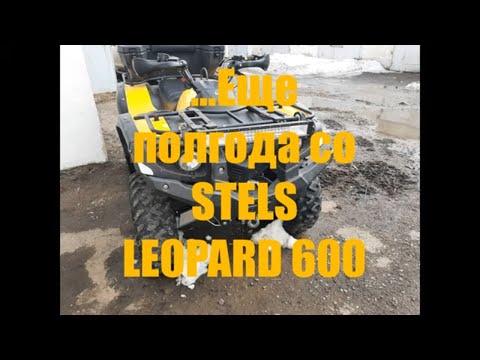 Еще полгода на STELS LEOPARD 600, по лесам и болотам