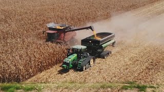 Corn Harvest 2020 (Afrikaans)  EP 4 Mississippi