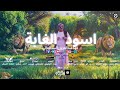 كليب اسود الغابة _اركن علي جمب يابابا2026Lions of the Jungle video clip فهدعبدالعزيز_alsdal3aly mp3