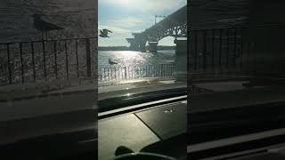 SHIP COMING THOUGH THE COLEMAN BRIDGE (1)