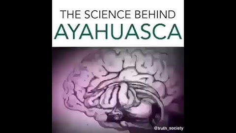 The science behind ayahuasca