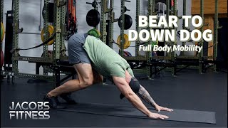 Bear to Down Dog - Full Body Mobility