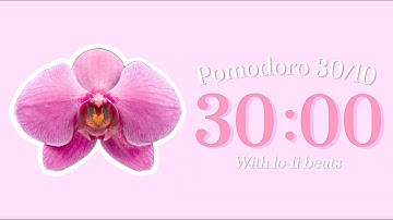 2-hours orchid blooming focus session 🩷🌸| 30/10 Pomodoro timer | Relaxing Lofi music 🤍🎧
