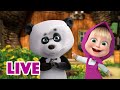 🔴 LIVE 🐻 Masha y el Oso 2022 🐼 ¡Solo escuche al Panda!  🐼 Masha and the Bear