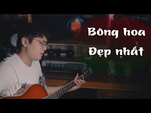 Video BÔNG HOA ĐẸP NHẤT ( QUÂN A.P ) | Anh Khoa Cover - youtube