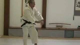 Ukemi: Back roll from standing position - Slow Motion