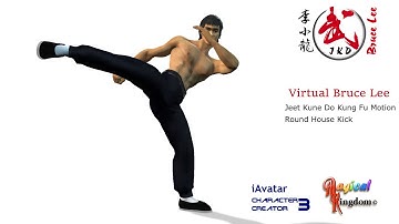 Bruce Lee Round House Kick iClone Motion