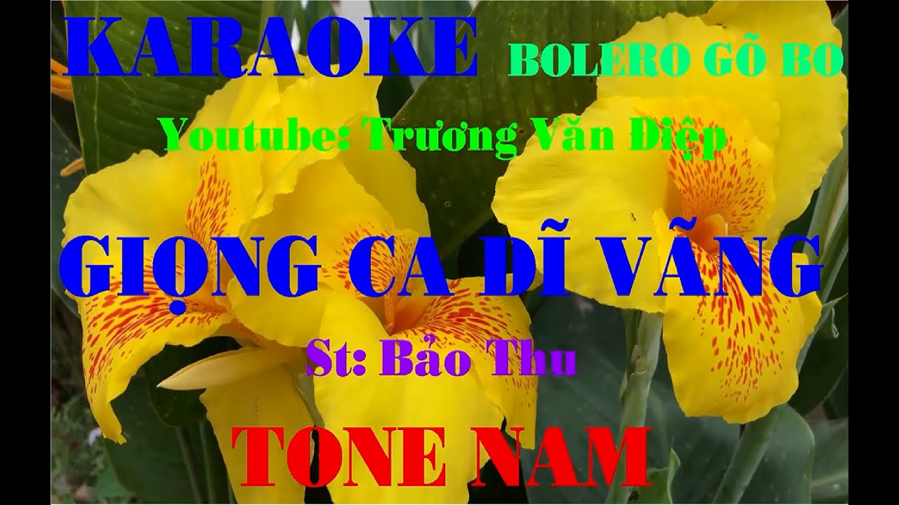Karaoke Giọng Ca Dĩ Vãng Tone Nam Gõ Bo | Trương Văn Điệp