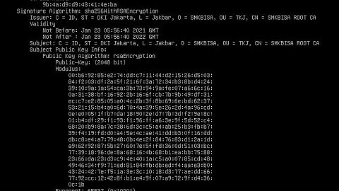 Konfigurasi Certificate Authority (CA) dengan Openssl di Debian 9   | Linux Environtment