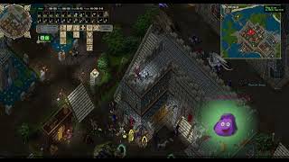 Turn on "Hued Containers" on new Ultima Online Classic client