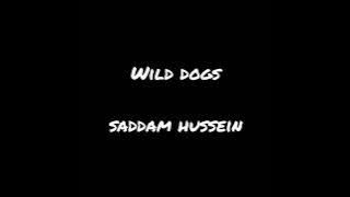 Wild dogs  Saddam Hussein