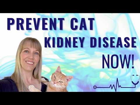 Dr. Emily Thomas DVM's Shocking Pet Health Revelation!