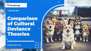 Comparison of Cultural Deviance Theories - Research Paper Example