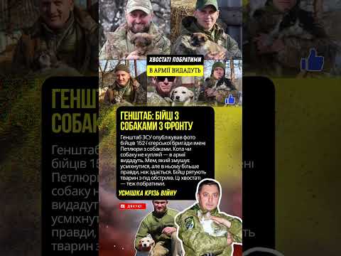 В армії ВИДАДУТЬ собаку 🐕 Генштаб показав хвостатих побратимів #зсу #собаки
