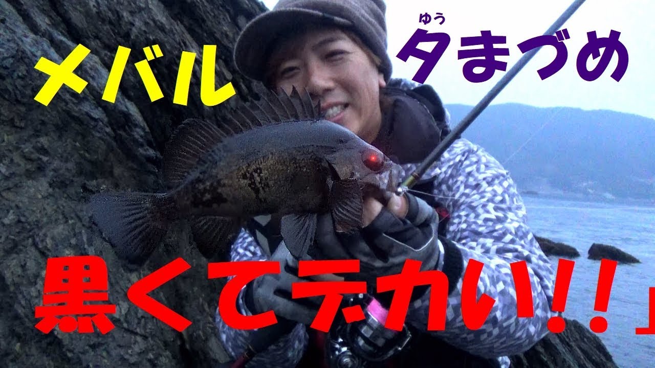 メバリング 夕まづめのデカメバル捕獲戦術 りんたこ流 Youtube