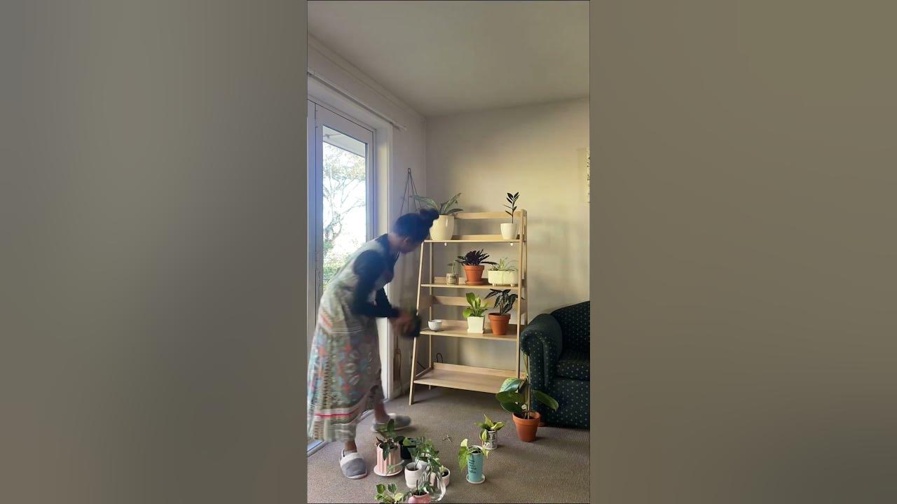 Kmart ladder shelf organising /plant decor / YouTube