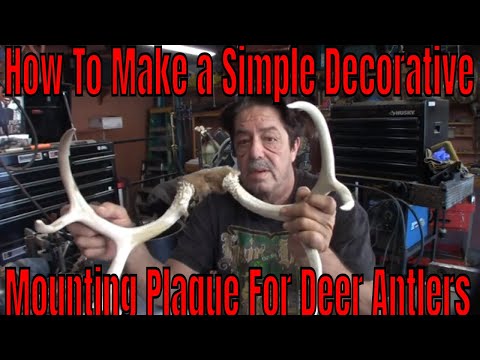 How To Mount Deer Antlers With Basic Tools - DIY