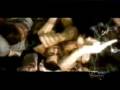 MOP feat Busta Rhymes Ante Up Remix Uncensored