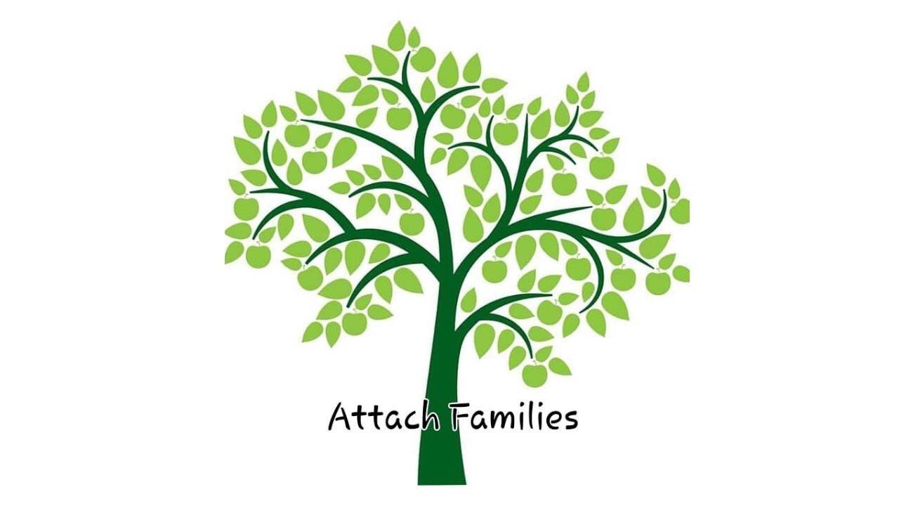 Family 1 Story of Adopting a Child of Trauma.