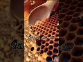 Hamre nabi ne hazrat ayesa se farmaya | #shortvideo #ytshorts #whatsappstatus #islamic