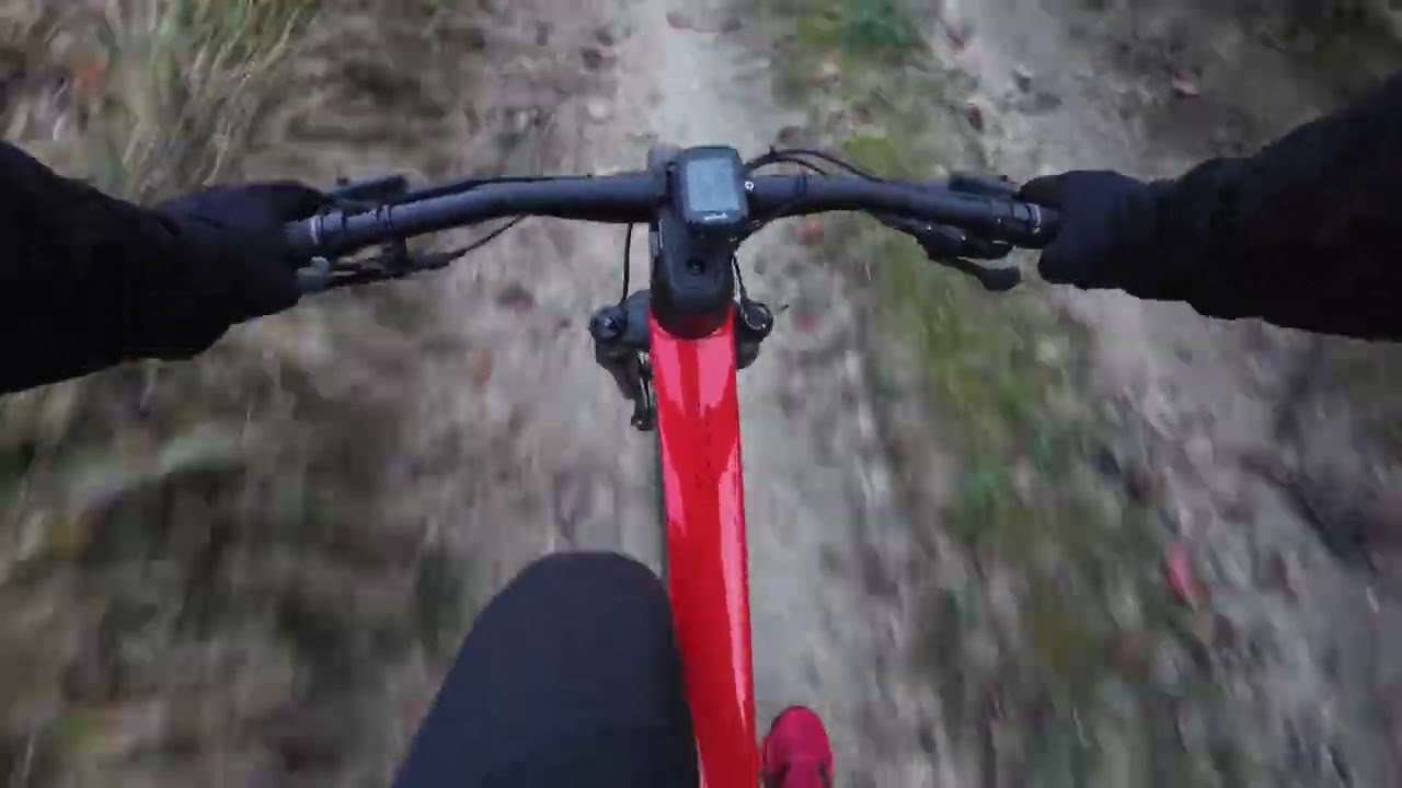 Avventura in mezzo al bosco 🚵￼