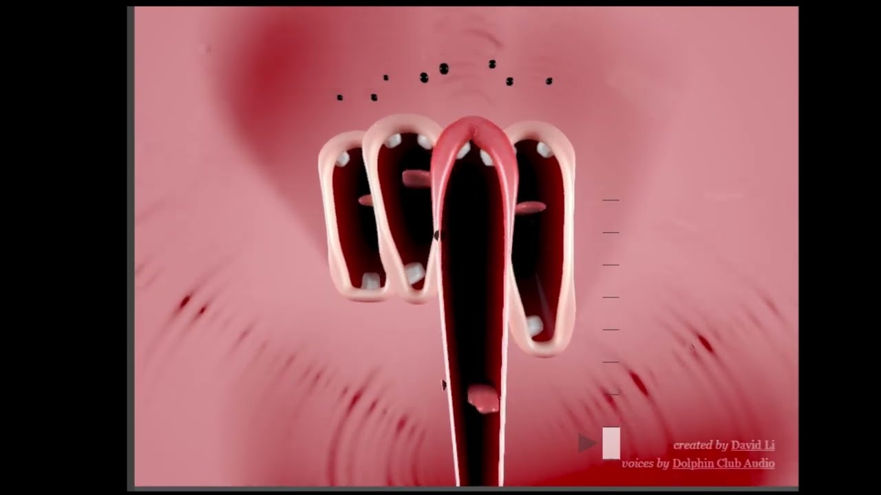 I Stretched His Lip and Summoned a Symphony 😭🎶