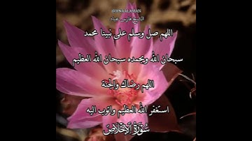 سورة الإخلاص | الشيخ فارس عباد،استغفر الله العظيم واتوب اليه، تلاوه خاشعه(1)