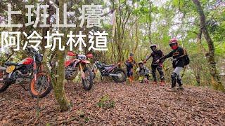 上班止癢:阿冷坑林道|CRF150L