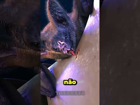 Este vampiro pode
