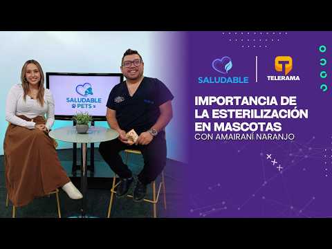 Saludable Pets: Importancia de la esterilización en mascotas